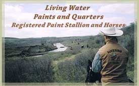 Living Water Paint and Quarters