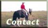 Contact Living Water Paints and Quarters